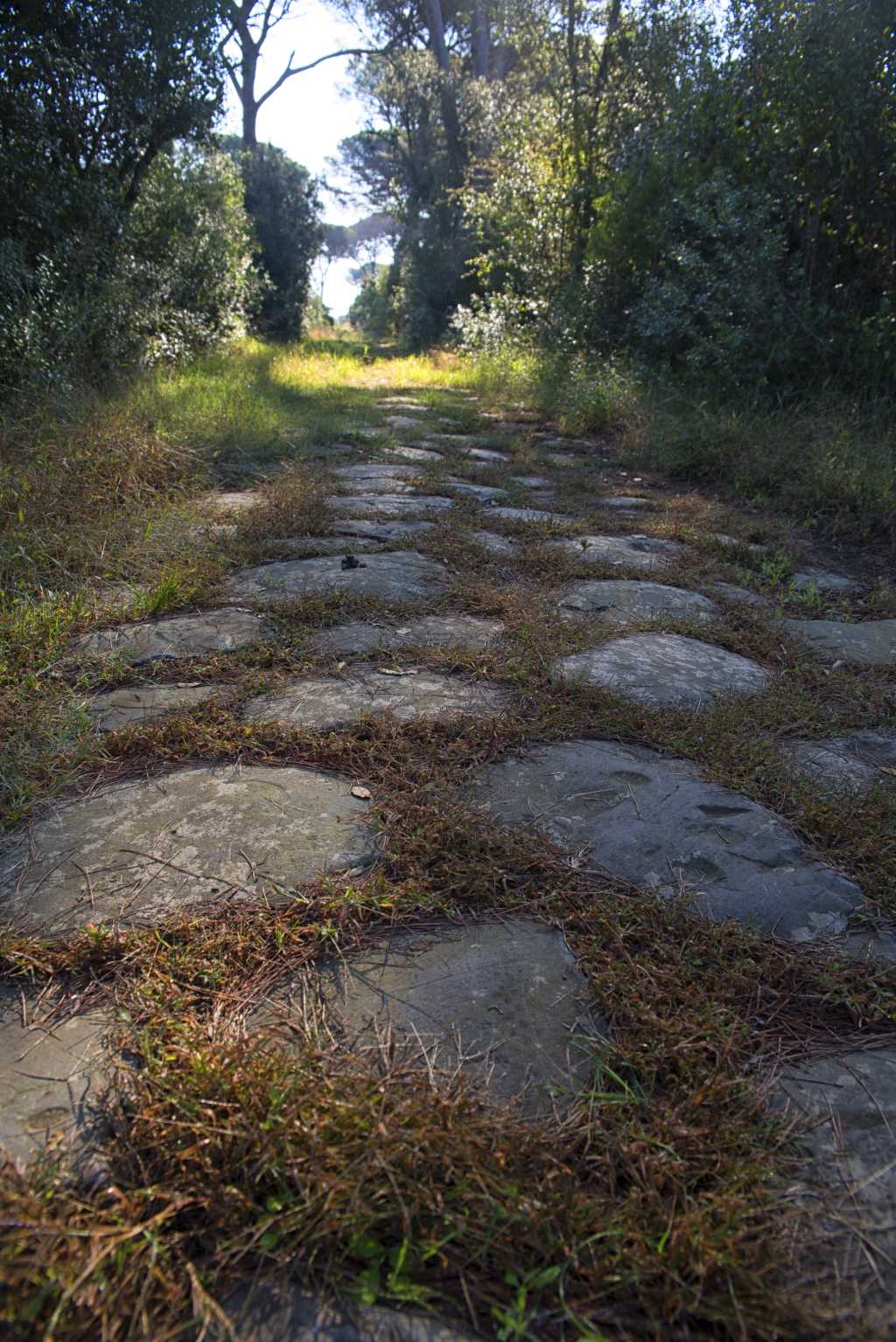 La Via Severiana a Ostia